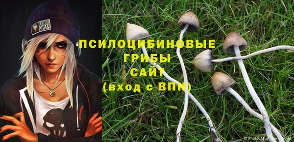 кокс Абаза