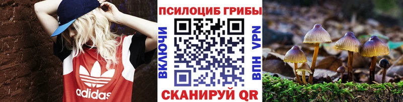 наркота Хасавюрт Псилоцибиновые грибы Magic Shrooms