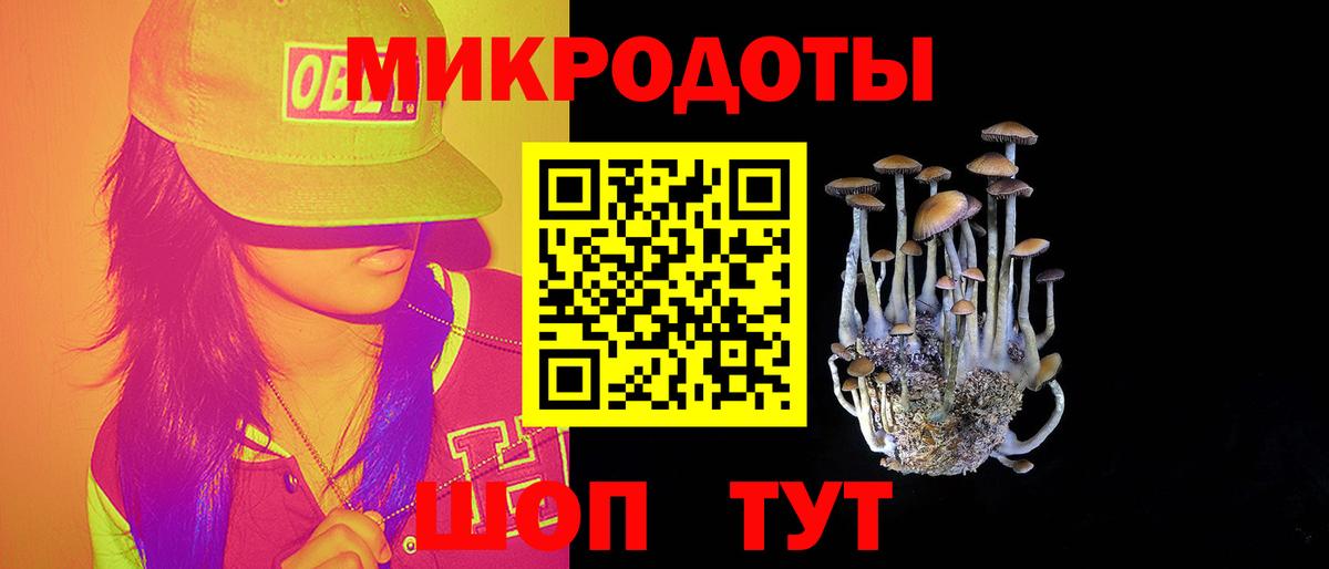 Псилоцибиновые грибы мицелий  Вход с VPN  Хасавюрт  Псилоцибиновые грибы мухоморы 